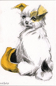 Fik