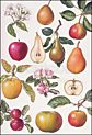 Appels en peren