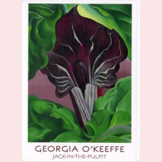 Georgia O'Keeffe Jack-in-the-pulpit