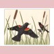 Red-winged blackbirds