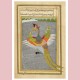 Prince Gauhar and his companion rescued by the simurgh