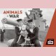 Animals in war