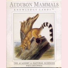 Audubon mammals