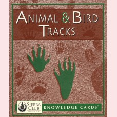 Animal & Bird tracks