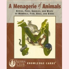 A menagerie of animals