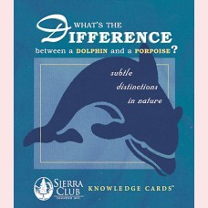 What's the Difference between a dolphin and a porpoise? - Subtle distinctions in nature