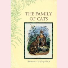 The family of cats