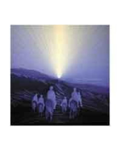 Unterwegs-Auf der Suche nach dem verheissenen Licht