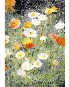 Isländische Mohnblümchen - Postkarte