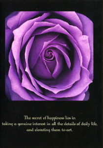 Rose