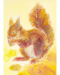 Eichhörnchen
