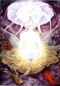 Licht Shakti