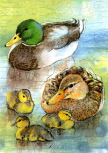 Entenfamilie