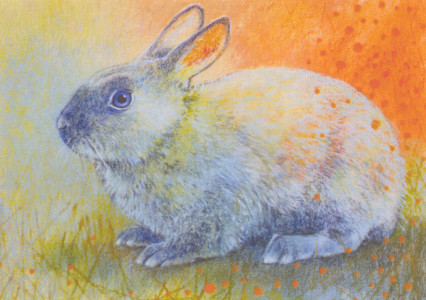 Tierfreunde 8-Kaninchen