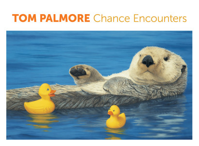 Chance encounters