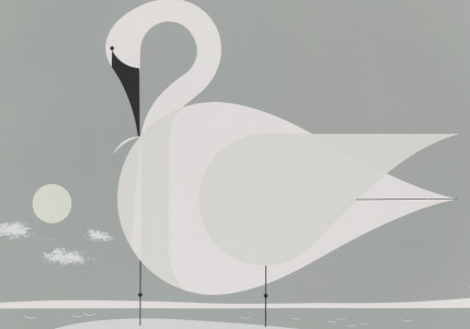 Trumpeter swan