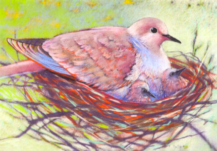 Sicher im Nest