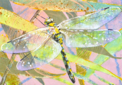 Libelle II