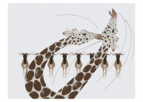 Charley Harper Set I