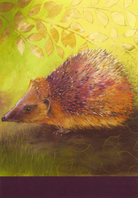 Klein Waldtierbuch 1-Igel