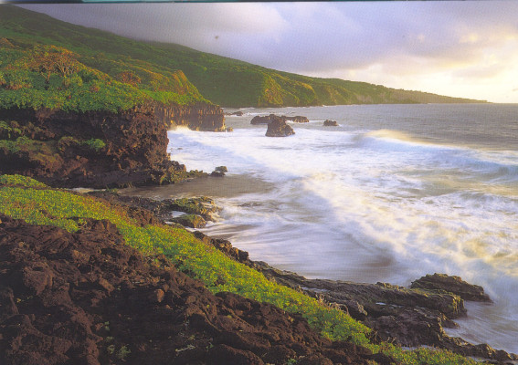 The coast at Kipahulo (Hawaii)