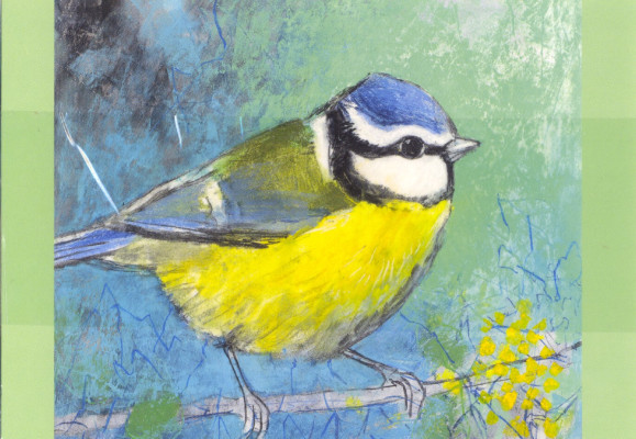 Blaumeise II