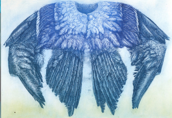 Expecting to fly