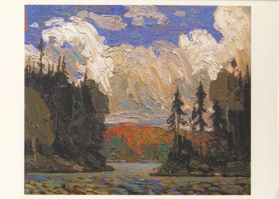 Black spruce in autumn