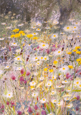 Feldblumen auf dem Deich