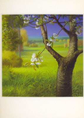 Frühlingsblüte