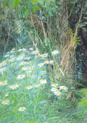 Margeritenblumen unter der Birne