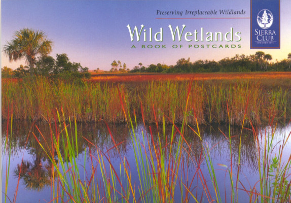 Wild wetlands