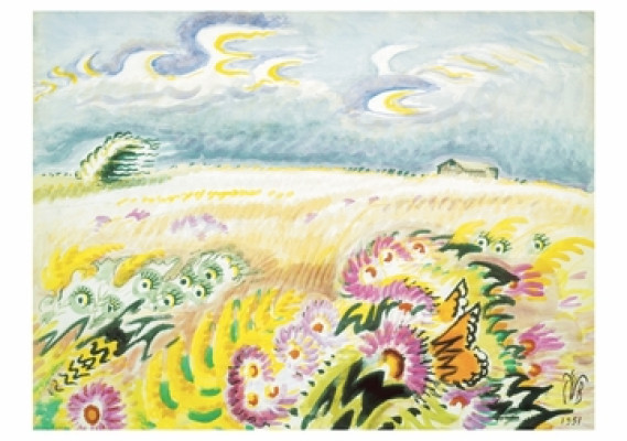 Wind-blown asters