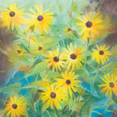 Helianthus annuus