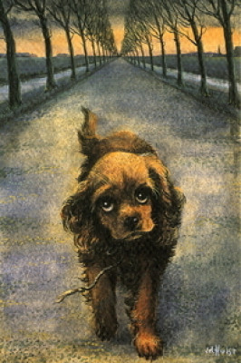 Kleiner Wanderer 2