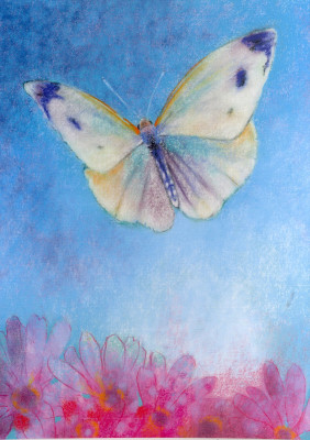 Klein Insektenbuch 3-Schmetterling in blau