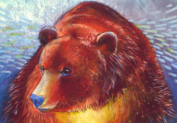 Braunbär