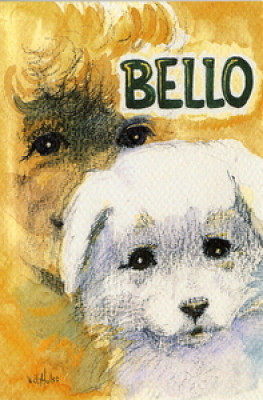 Bello 1