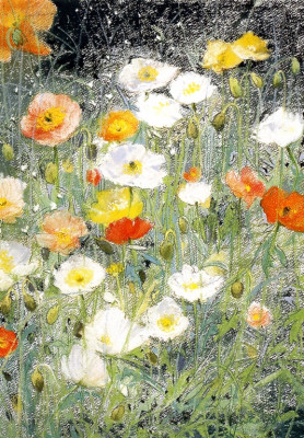 Isländische Mohnblümchen