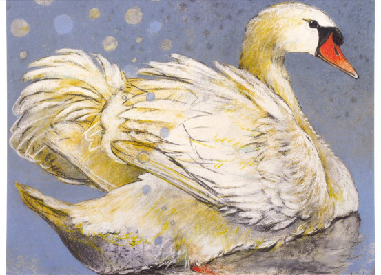 Schwan II