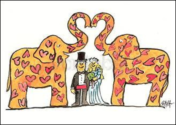 Elefantenhochzeit
