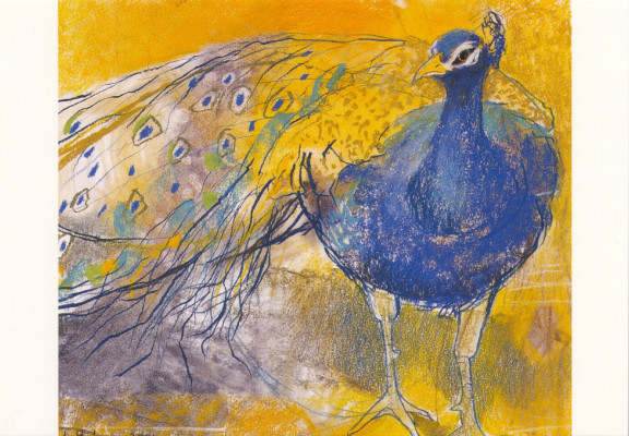 Pfau