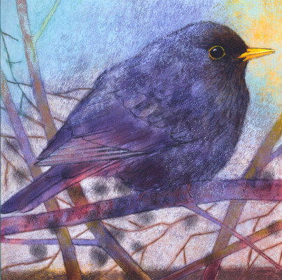 Amsel II