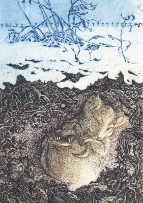 Winterschlaf