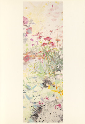 Rudbeckia's II