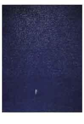 Die Sterne