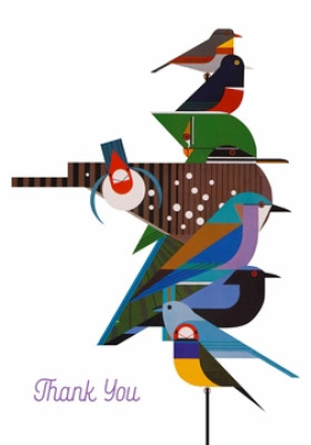 Rain Forest birds