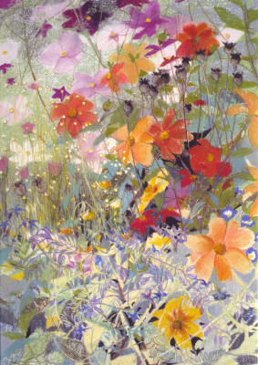 Dahlien und Cosmea