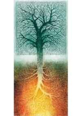 Roots