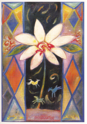Weiße Blume
